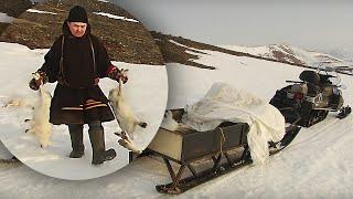 S polem! (Successful Hunt!) Nenets style of hare hunting