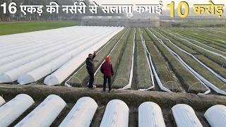 Low investment Vegetable Nursery Farming Profitable business idea India