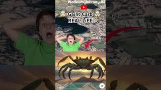 World Largest Crab On Google Earth and Google maps #shots #platinumjourney04