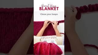 Bernat Alize Blanket EZ Yarn