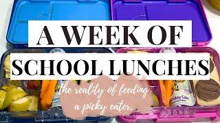 A WEEK OF SCHOOL LUNCHES | THE REALITY OF FEEDING A PICKY EATER