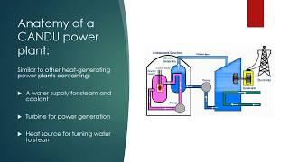 CANDU Nuclear Power Plants