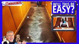 Unbelievable GREASY Carpet Cleaning! We Reveal the Brighter Side of these Carpets