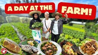 A DAY AT THE FARM | Team Chef RV