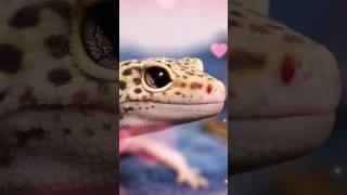 Leopard gecko edit️ #youtubeshorts #edit #leopardgecko