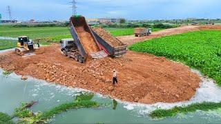 Wow Amazing Work Bulldozer SHANTUI  Push Soil Into Water And Truck 25Ton Delivery Soil To Build Road