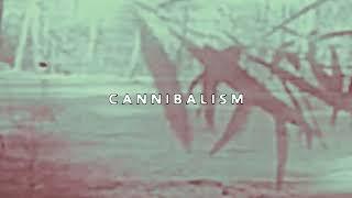 // $UICIDEBOY$ TYPE BEAT - CANNIBALISM //