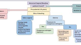 Abnormal Vaginal Bleeding in PrePubertal Girls