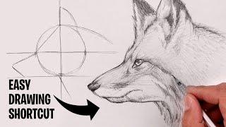 How To Draw a Fox | Sketch Tutorial