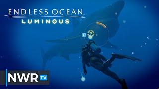 Endless Ocean Luminous - Nintendo Switch Tech Analysis and Initial Impressions