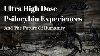 Ultra High Dose Psilocybin and The Future Humanity | Interview With Kilindi Iyi | ATTMind Ep. 48