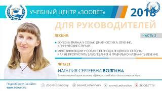 Н. С. Волгина в УЦ «Зоовет» | Болезнь лайма у собак. Микстинфекции у собак, ч. 2