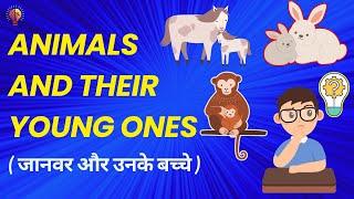 Animal Offspring Quiz: How Many Can You Get Right? Dream2English Hindi 2024