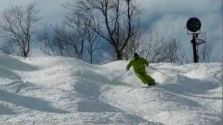 PSIA-AASI Go With A Pro: Dolphin Turns for Advanced Bump Skiing