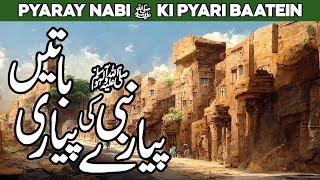 Pyare Nabi ki Pyari Baten | Nabi ki Baatein | Pyare Nabi ki Pyari Zindagi | Al Habib