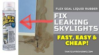 Fix Skylights Leak - Flex Seal Fast, Cheap and Easy! #DIY  