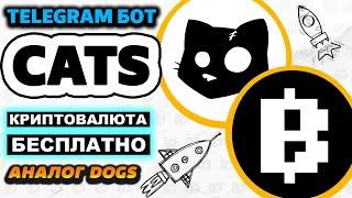 Обзор Telegram бота CATS. Как получить бесплатный Аирдроп за 1 клик в Телеграмм (catsgang_bot)