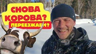 Переезжаем в лес? I У нас снова корова? I Покупки и подарки