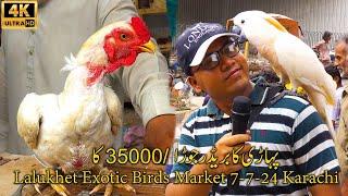 Lalukhet Exotic Birds and Parrots Hen and Rooster Market 7-7-24 Karachi | نایاب پرندے طوطےاورمرغے