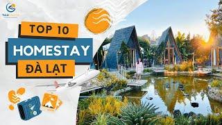 Top 10 Homestay Đà Lạt đẹp giá rẻ view rừng thông | Tico Travel