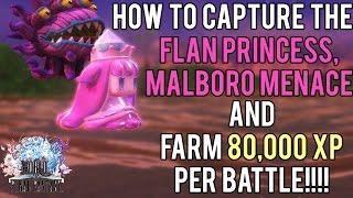 How to Farm 80k XP per battle and Capture the Flan Princess/Malboro Menace | World of Final Fantasy