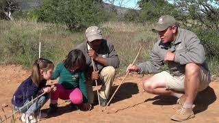 Bush Lesson 1: Tracks & signs