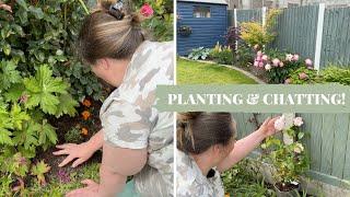 Planting, chatting and new build garden update