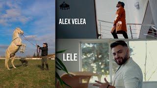 Alex Velea  Lele - Legenda Mafiei (Special Guest: Nutu Camataru) | Official Video