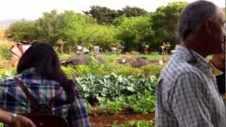 Farm Tour and Kupu Maui Dinner at Kupa'a Farms 10/20/12