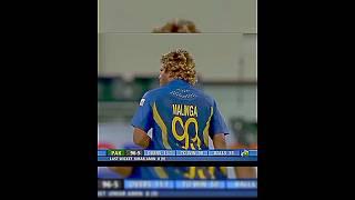 Lasith Malinga  Afridi Clash #viralshorts