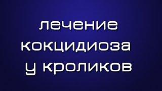 Лечение кокцидиоза у кроликов. Симптомы, причины, чем лечить кокцидиоз, профилактика.