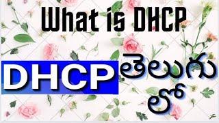 What is DHCP in Telugu| What is DHCP | #BTechveeru