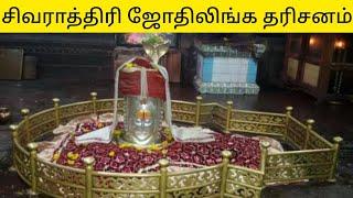 மஹா சிவராத்திரி ஜோதிலிங்க தரிசனம் | Sai Motivation | Maha Sivarathri | Jothi Lingam