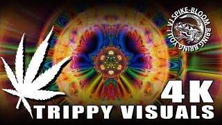 TRIPPY VISUALS 4K ”URL Melt - Unicorn Heads”　VJ SPIKE-BLOOM