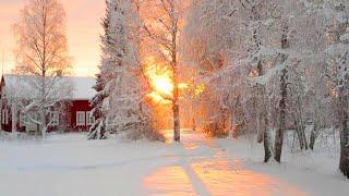 Beautiful Winter Snow Scene Relaxing Piano Music -  Soothing Calm Sleep Meditation Yoga Music