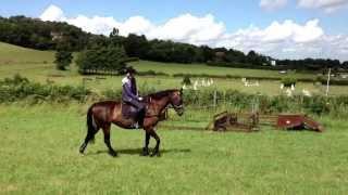 Abbie with fifi just strolling around