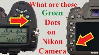 How to Factory Reset Nikon Cameras (Quick and Easy)