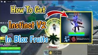 How To Get Instinct V2 In Blox Fruits (2024) |How To Upgrade Instinct V1 To V2 In Blox Fruits (2024)