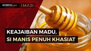 Sederet Keajaiban Madu, Si Manis yang Penuh Khasiat