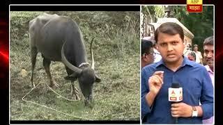 Mumbai : Farmers Karjamafi