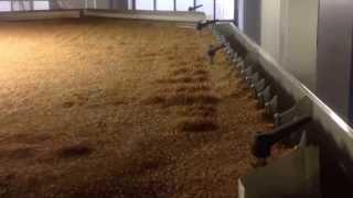 Cimbria Heid Gravity Separator in Wheat