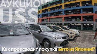 КАК ПОКУПАЮТ АВТОМОБИЛИ В ЯПОНИИ АУКЦИОН USSАВТОМОБИЛИ ОТ500 ТЫСЯЧ РУБЛЕЙ️ЯПОНЦЫ ВСЕХ ОБМАНУЛИ⁉️