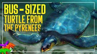 Scientists Unearth a Prehistoric Car-Sized Marine Turtle | Leviathanochelys | Paleo News 2022