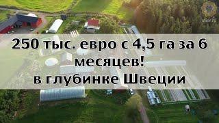Ферма - 250 тысяч евро с 4,5 гектар за 6 месяцев!