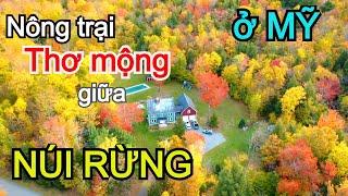 NÔNG TRẠI SLEEPY HOLLOW FARM THƠ MỘNG GIỮA NÚI RỪNG Ở MỸ - TIỂU BANG VERMONT