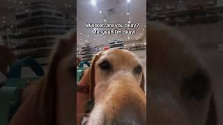 Worker helping service dog owner having medical episode️ #servicedog #dog #youtubeshorts #shorts