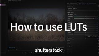 Color Grading 101: How to Use LUTs | Video Editing Tutorials