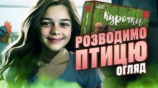 Настільна гра Курочки | Огляд від Good Game