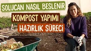 SOLUCAN NASIL BESLENİR? | KOMPOST YAPIMI | HAZIRLIK SÜRECİ