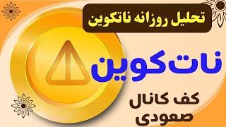 تحلیل نات کوین روزانه | احتمال رشد از کف |درصورت ریزش ناتکوین چه کنیم؟